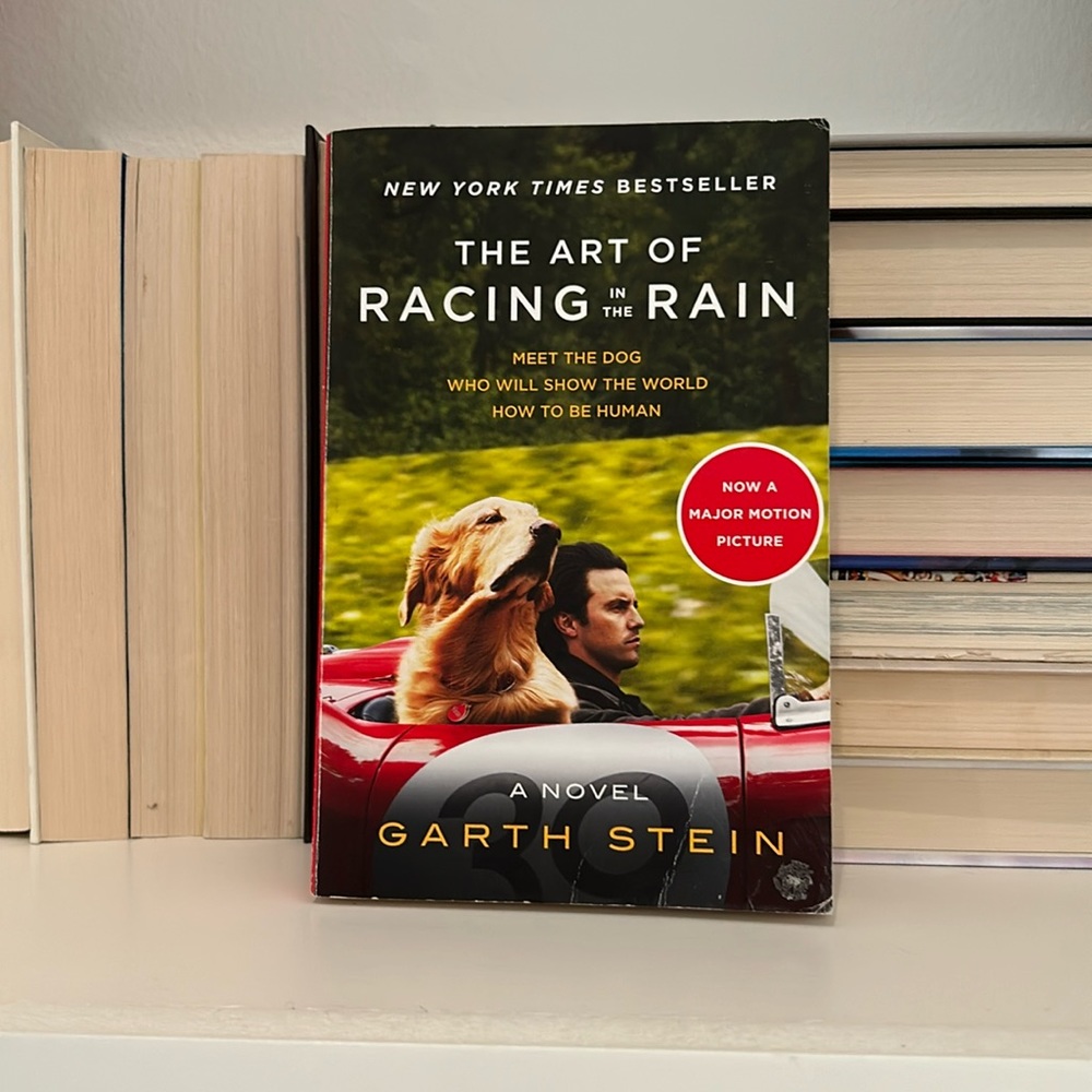 The Art of Dancing in the Rain - Garth Stein, used book